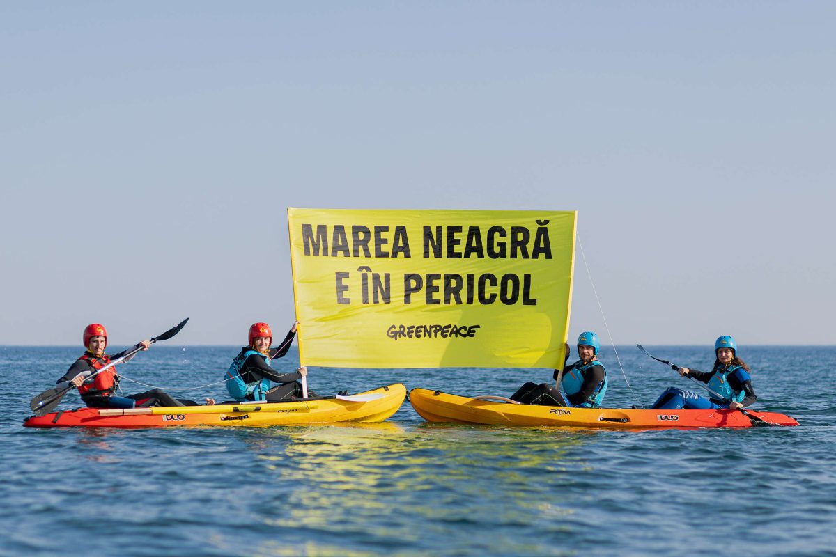 ROMGAZ a luat decizia de a solicita în instanță dizolvarea fundaţiei Greenpeace