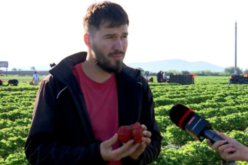 Marinel Hotca a dat lovitura cu acest fruct! Oamenii călătoresc și 11 ore ca să cumpere de la el