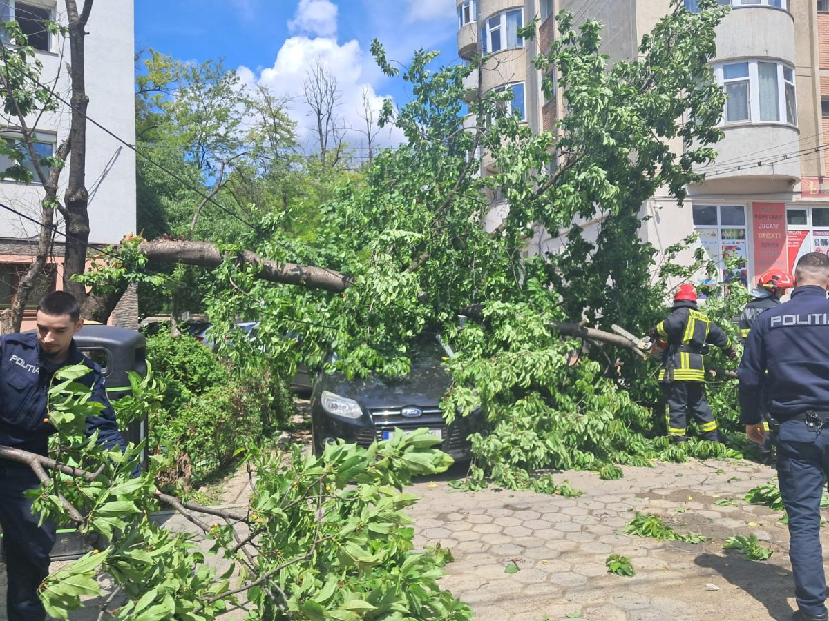 Intervenție pentru degajarea unui arbore căzut peste două autoturisme, în municipiul Iași