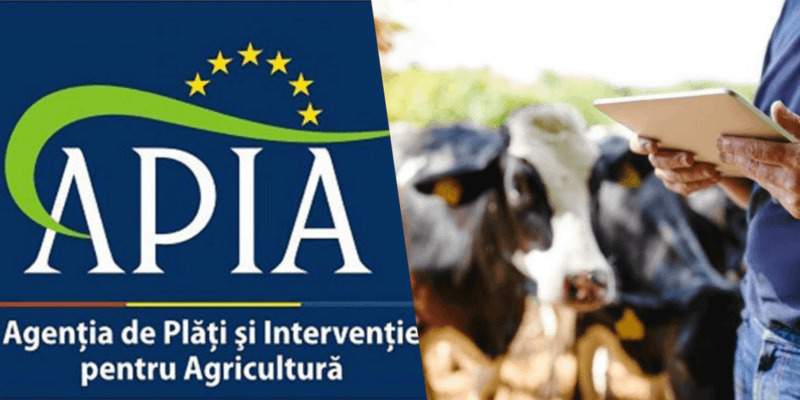 Termenul pentru depunerea cererilor la APIA a fost prelungit până pe 13 iunie 2025