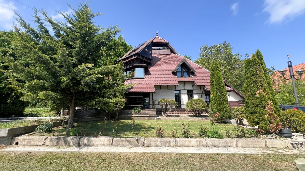 A proiectat casele oamenilor „grei” ai Iașului, dar nimeni nu știe cum arată casa sa. Tablouri africane, sculpturi și sere în cea mai căutată zonă din oraș. Iată locuința de vis a arhitectului Hereș