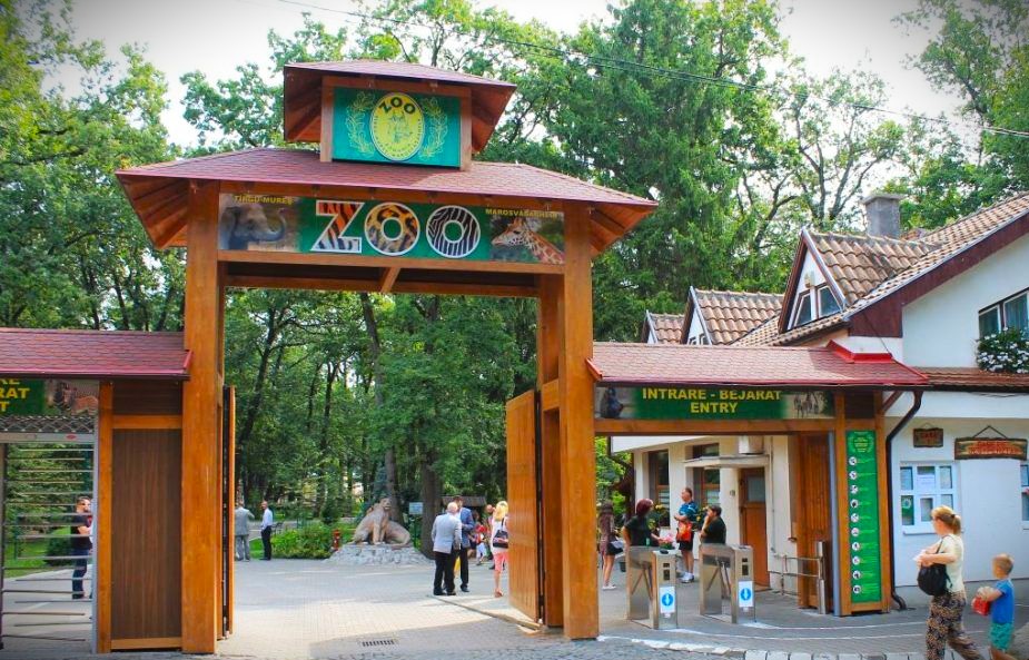 Care este cea mai mare grădină zoologică din România? Este singura în care găsești elefanți și girafe!