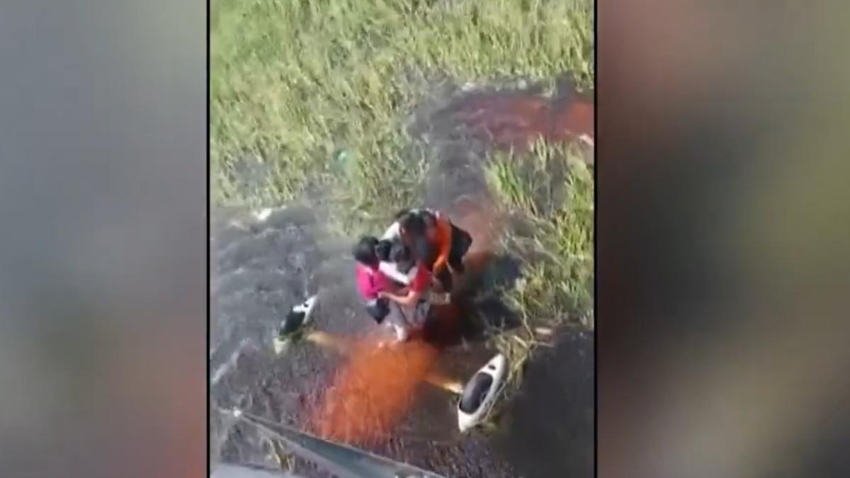 Accident aviatic dramatic! Supraviețuitorii au căzut într-o mlaștină plină cu crocodili