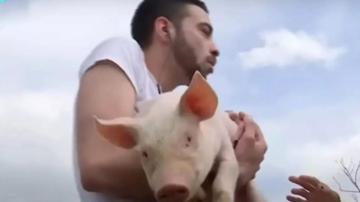 David Pușcaș, depășit total de munca la fermă. Ce a pățit tânărul în țarcul porcilor