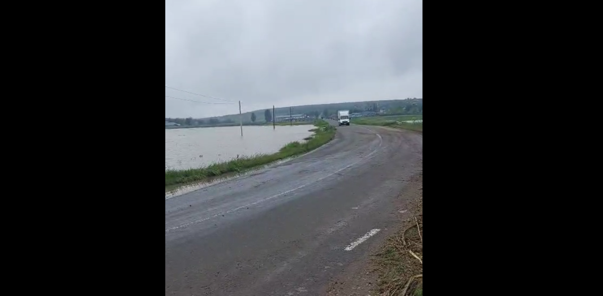 Drumul Județean 281B a fost redeschis circulației rutiere, după ce apele s-au retras