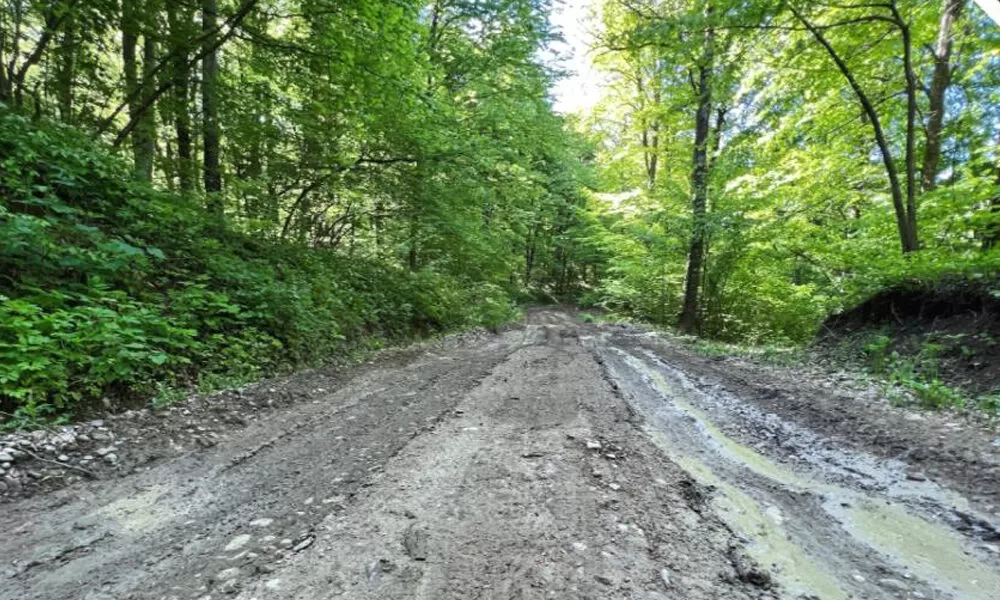 Romsilva amenajează un nou drum forestier în județul Iași! Lungimea este de 3,8 km și asigură accesul în mai multe zone