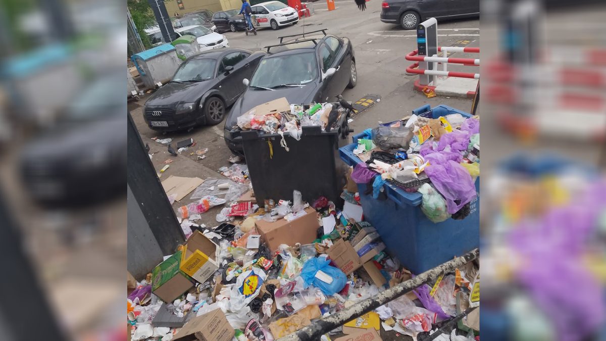 Oamenii străzii au pus stăpânire pe campusul din Tudor Vladimirescu! Angajații de la Salubris au fost atacați cu cărămizi, când au vrut să ridice gunoiul