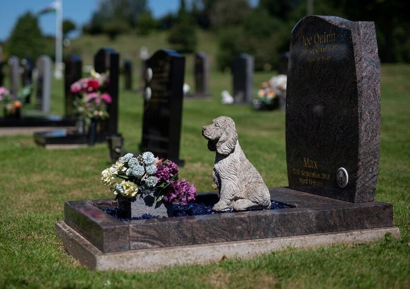 A apărut un nou tip de cimitire în România! Tot mai mulți cetățeni vor să dețină un loc