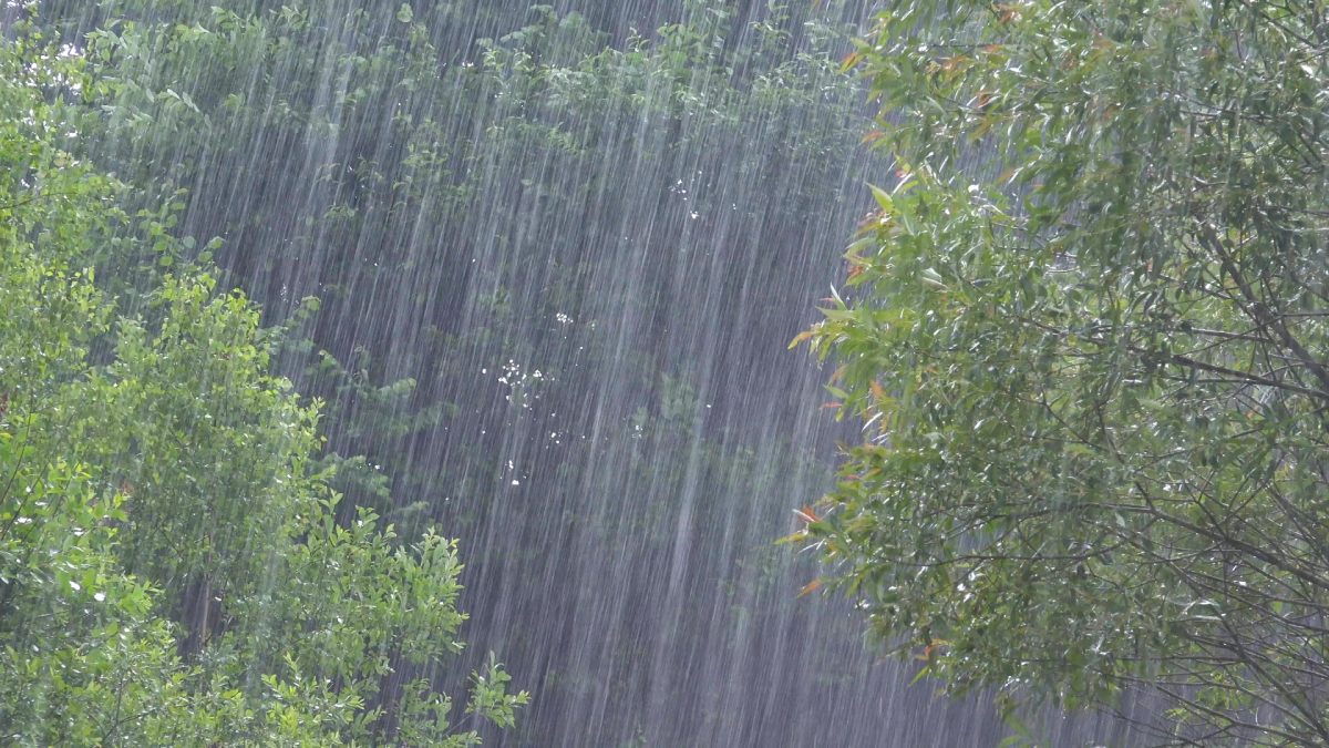 Cinci localități din Iași au fost afectate de ploile abundente. Nu au fost raportate pagube majore până acum