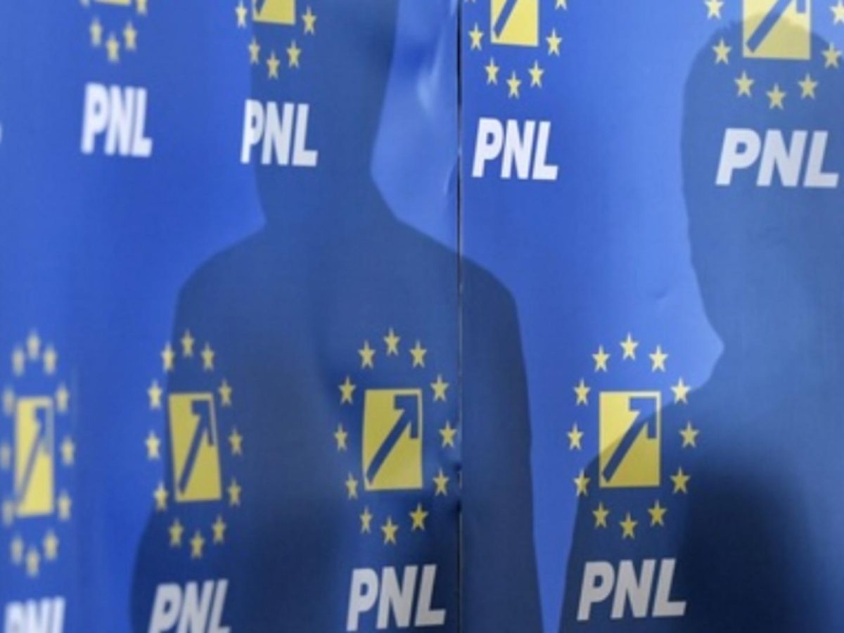 PNL a decis în unanimitate să-l sprijine pe Nicușor Dan