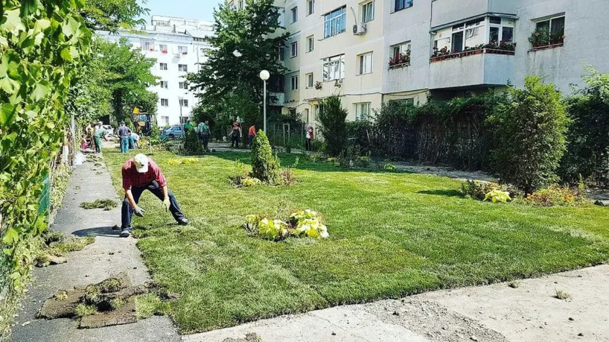 Românii pot beneficia gratuit de aceste lucruri! Primăria a făcut anunțul