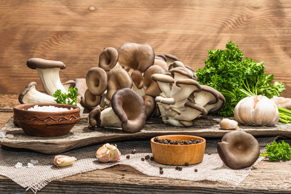 Rețeta pentru friptură de ciuperci pleurotus! O alternativă delicioasă și sănătoasă la carne!