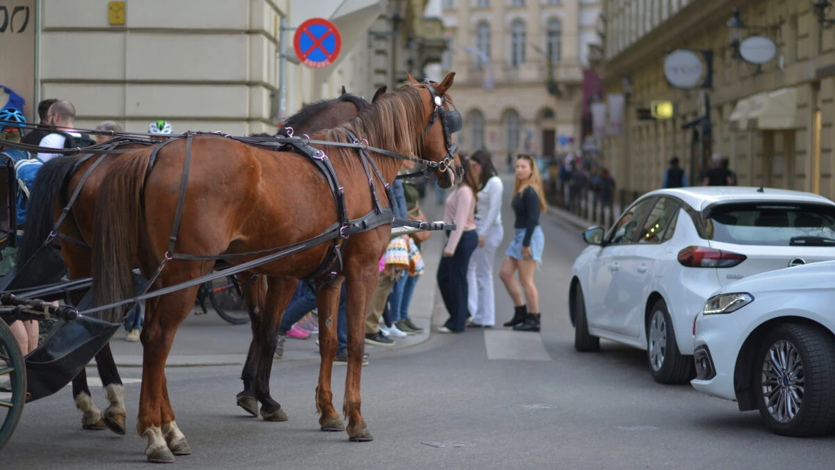 Toți cei care au căruță sunt vizați! Amenzile ajung până la 2.000 de lei