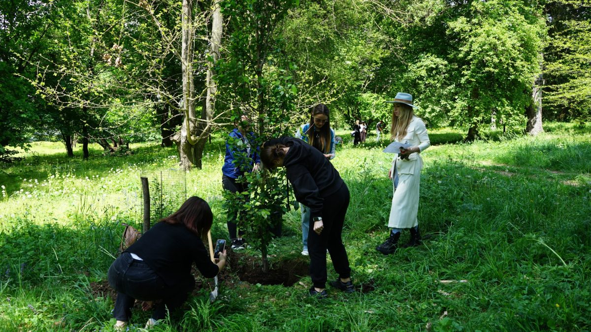 Profesori și studenți ai USV Iași au plantat arbori decorativi în Parcul Dendrologic din Văleni