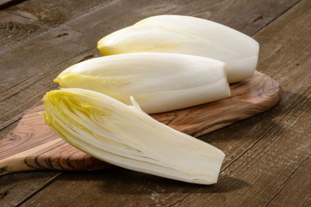 Ce rețete poți să prepari din andive? Iată de ce e bine să consumi „aurul alb” al legumelor!