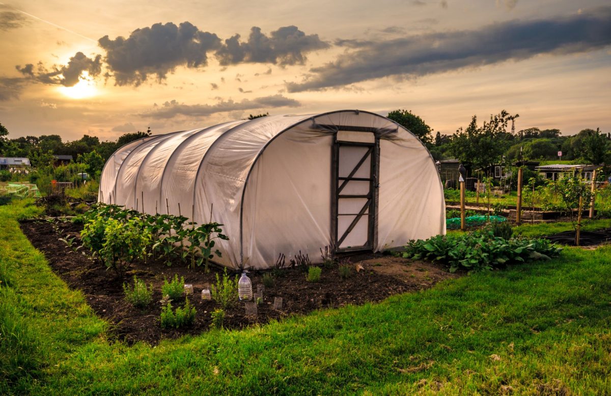 Autorizație pentru solar de legume! Puțini români știu asta. Amenzile sunt uriașe! 
