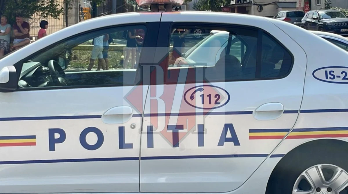 Interzis în România! Proprietarii riscă amenzi de 3.000 de lei dacă nu au aviz pentru adăposturi de animale