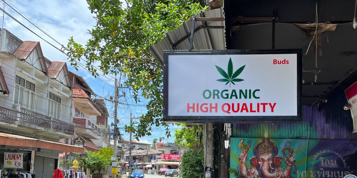 Canabisul, cea mai mare afacere din Thailanda, pe cale să dispară! Iată de ce