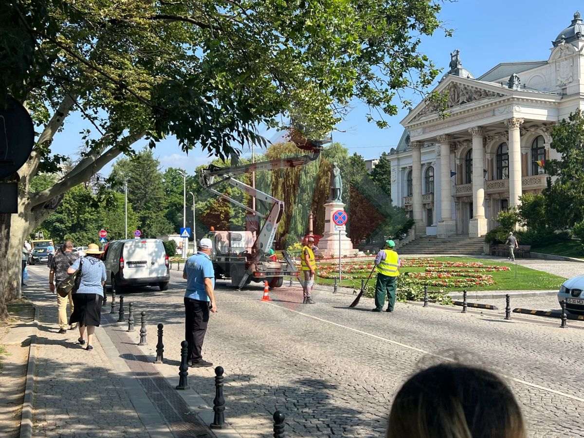 Se toaletează copacii din fața Teatrului Național. Traficul este dirijat de Poliția Locală