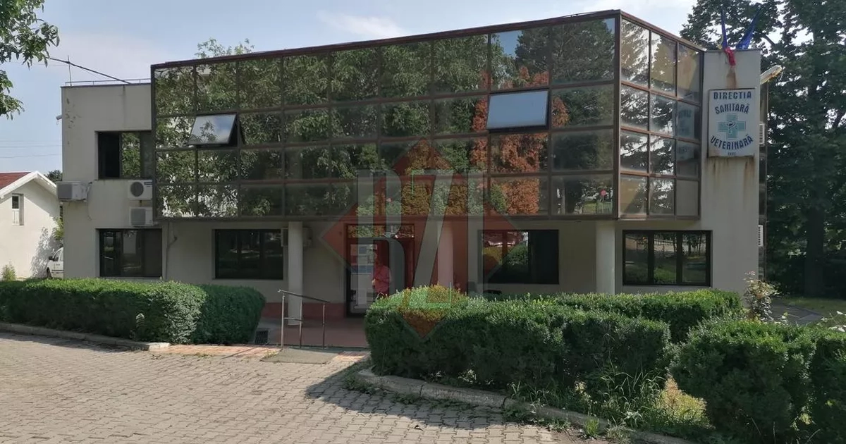 Controale intensificate ale DSVSA Iași în luna mai. Ce nereguli au fost constatate și ce sancțiuni au aplicat inspectorii