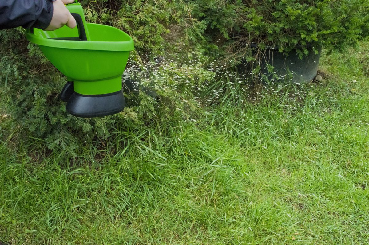 Îngrășământul pentru gazon vara – Iată cum îl alegi și aplici corect pentru un verde perfect