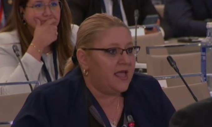 Diana Iovanovici Șoșoacă: „Israel se comportă ca un stat terorist”