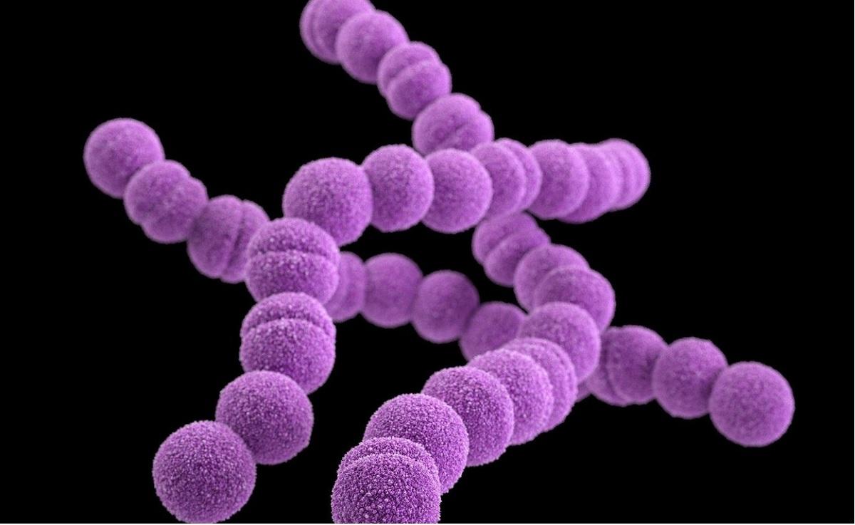 Infecția cu bacteria streptococ beta-hemolitic grup A. Ce simptome provoacă și cum se tratează