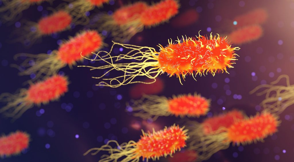 Streptococul beta-hemolitic grup B afectează nou-născuții. Află cum poate fi prevenit