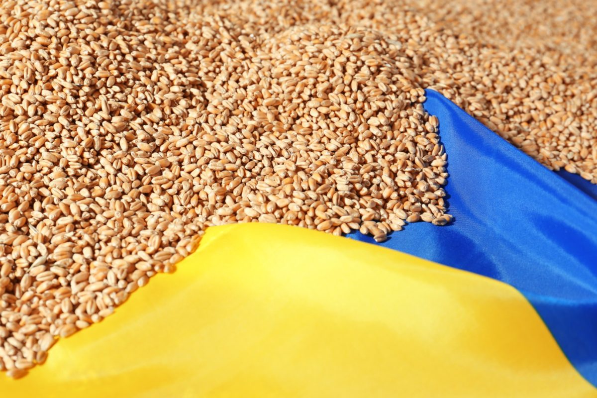 UE și Ucraina au ajuns la un acord de principiu privind importurile de produse agricole