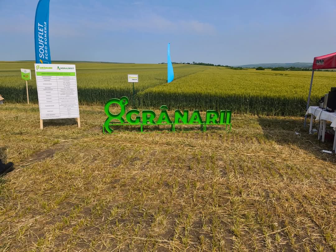 Ziua Grâului Andrieșeni 2025 – dialog, inovație și solidaritate în câmpul performanței agricole