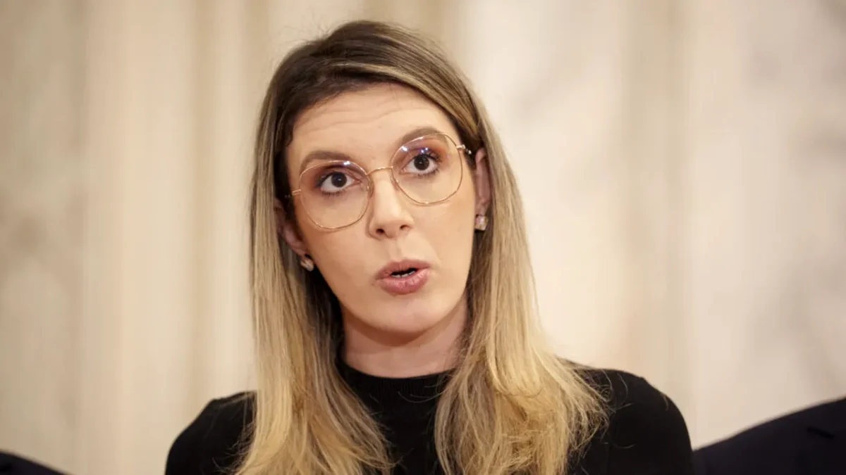 Pădurile României în pericol! Guvernul pregătește o reformă radicală a Romsilva