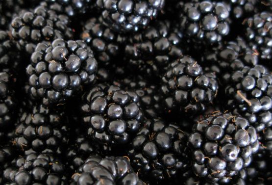 Mure, la preț de caviar! Cât a ajuns să coste un kilogram