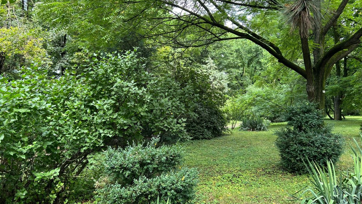 Grădina Botanică din Iași pregătește ceva cu totul special, unic în România! Un nou colț verde, dedicat plantelor rare, urmează să prindă viață