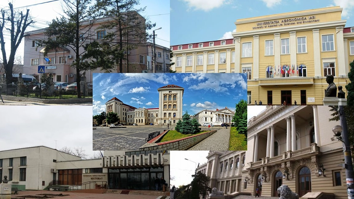 Tot mai mulți tineri vin aici pentru a-și continua studiile. Ce au special facultățile din acest oraș