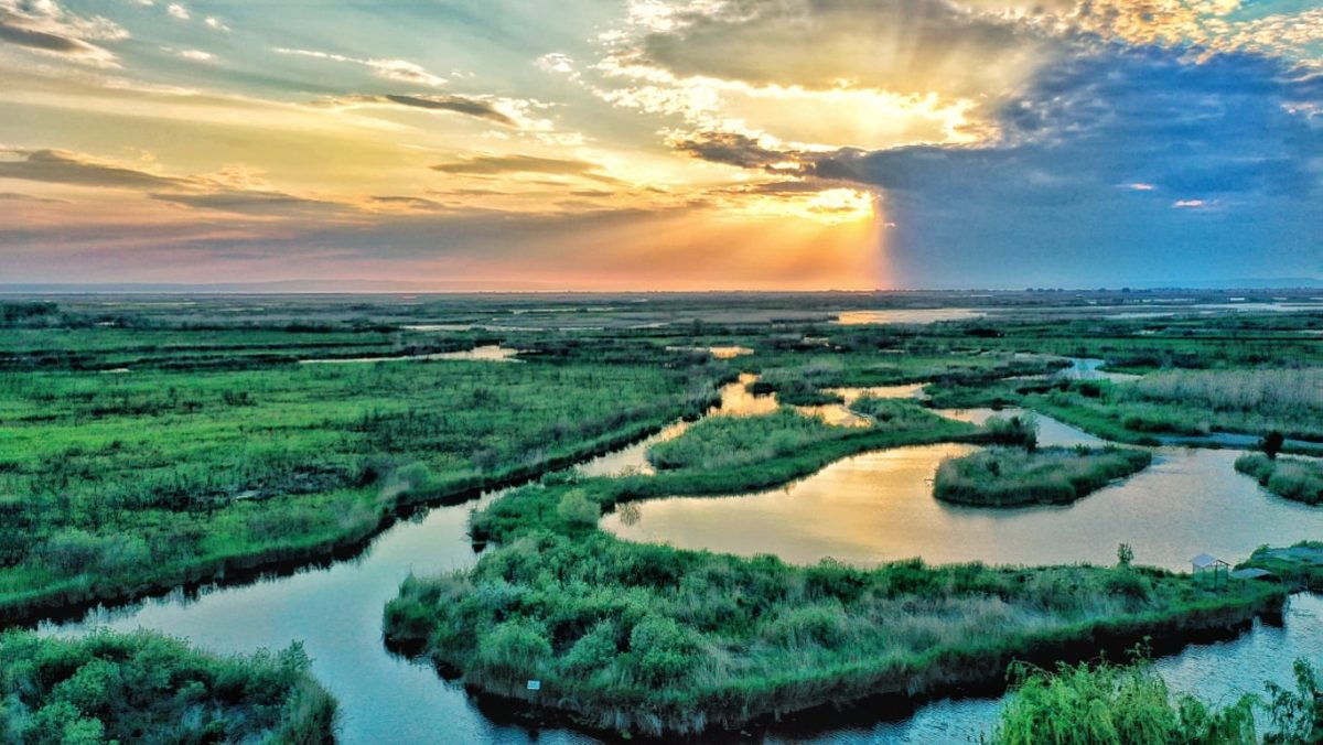 Informații interesante despre Delta Dunării – Este o lume uimitoare de descoperit pentru copii