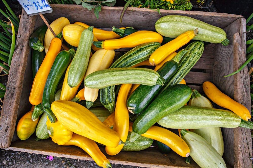 Dovlecelul – Calorii, beneficii și utilizări