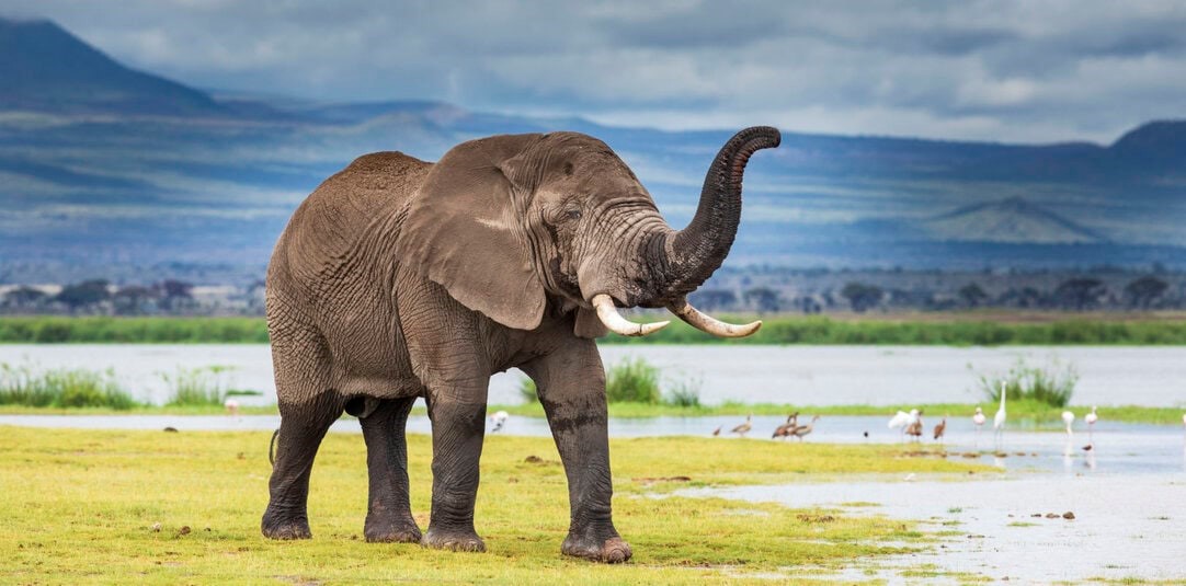 Viața unei femei de 49 de ani s-a schimbat complet după o excursie în Thailanda! „O întâlnire neașteptată mi-a oferit a doua șansă”