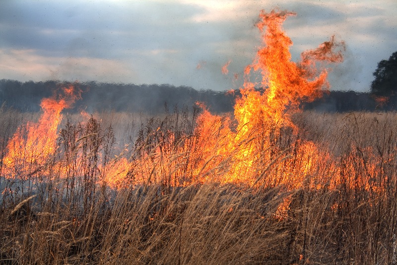 Un nou incendiu de vegetație uscată, la Iași. Pompierii au intervenit în satul Pârcovaci