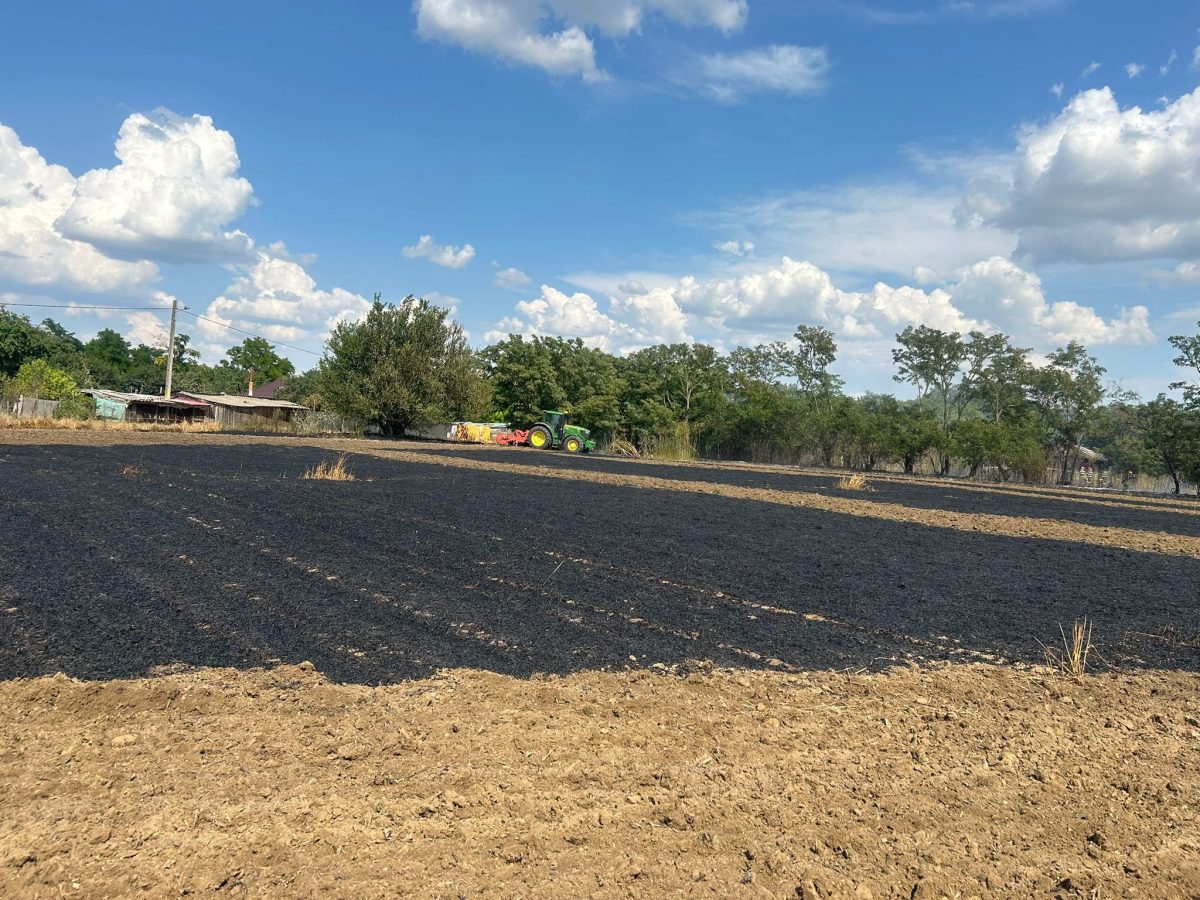 Incendiu de lan de grâu și vegetație uscată în satul Medeleni, comuna Golăiești, județul Iași