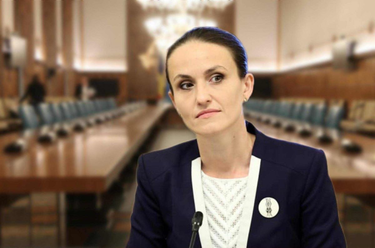 Oana Țoiu despre incidentul din Estonia ”Considerăm incidentul ca fiind intenţionat”
