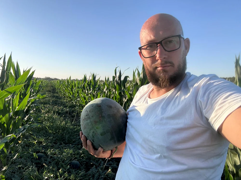 Pepenele verde, produsul vedetă al verii, întârzie pe piața românească din cauza vremii nefavorabile și a concurenței din import