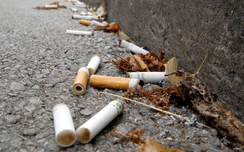 Poluarea solului, un pericol ignorat! Cantități uriașe de deșeuri la fiecare pas