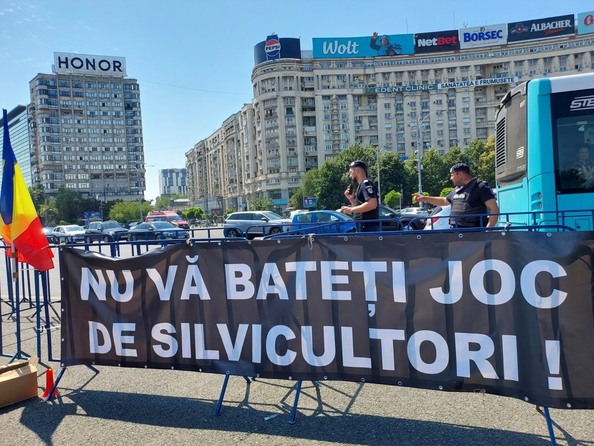 Protest al silvicultorilor la București! Angajați din Iași și alte județe au venit să ceară schimbări în ROMSILVA