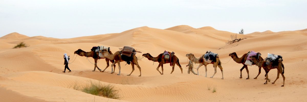 Plănuiești o călătorie în Tunisia? Iată câteva sfaturi pentru o experiență sigură, cu adevărat spectaculoasă