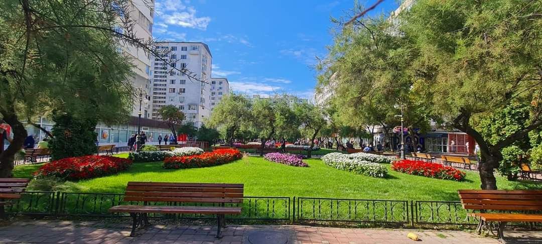 Două firme vor să actualizeze registrul spațiilor verzi din Iași! Primăria oferă un contract de 700.000 de lei