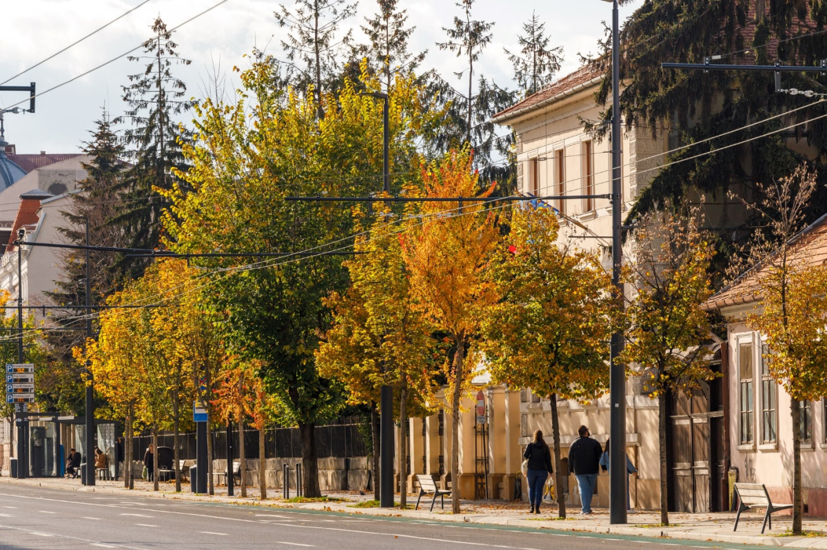 Această localitate va fi una dintre cele mai sigure din țară! Iată ce sistem inteligent implementează primăria pentru siguranța cetățenilor