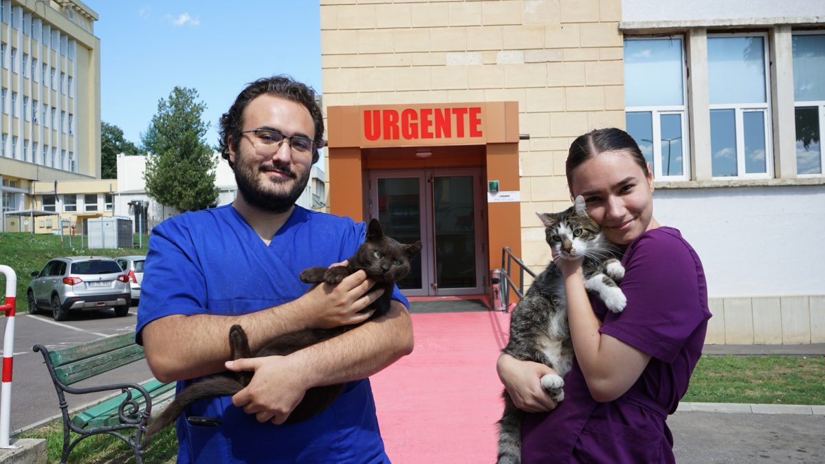 USV Iași oferă 29 de posturi de internship pentru studenți, începând cu 14 iulie 2025