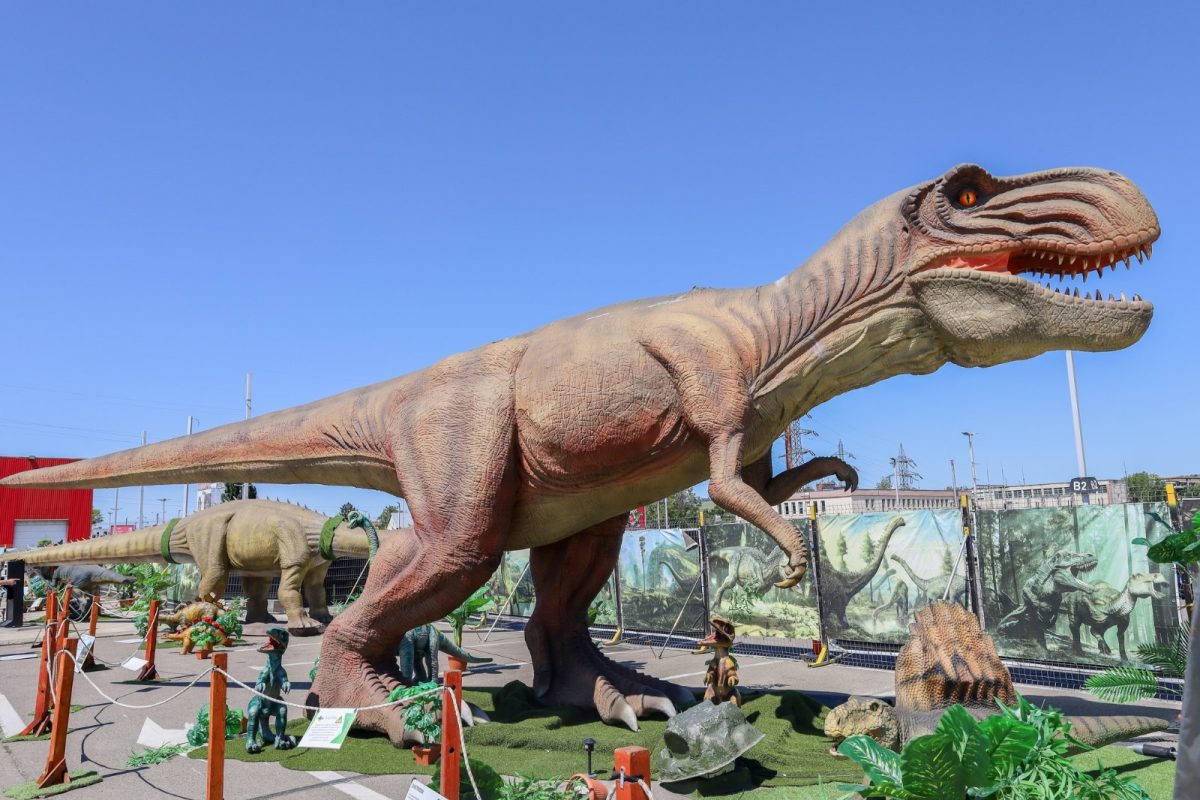 Călătorie în timp, la Iulius Town. Descoperă expoziția de animale marine gigant și dinozauri animatronici!