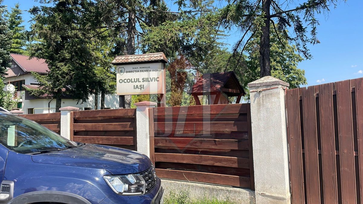 Incendiu în municipiul Iași. Flăcările au cuprins Ocolul Silvic – UPDATE