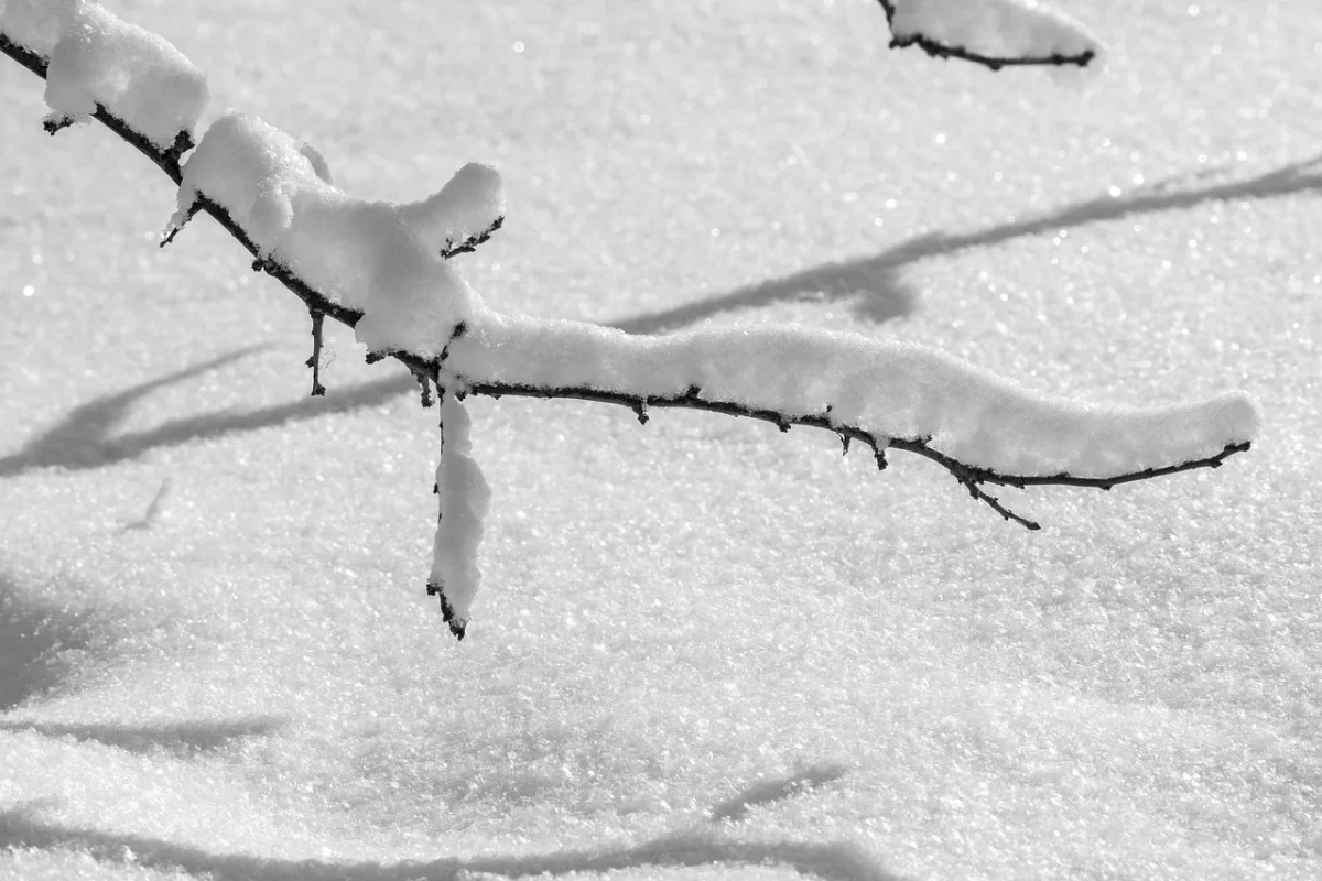 Cum va fi vremea de Crăciun și Revelion. Anunțul meteorologilor